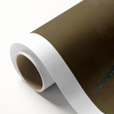 Rolled canvas wall art showcasing a vibrant collection of garden birds in various colors, elegantly designed for home decor, featuring intricate details and textures.