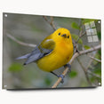 Acrylic glass wall art collection depicting vibrant garden birds in a colorful design, showcased from the side view with decorative pins for display. The piece enhances any nature-inspired decor.
