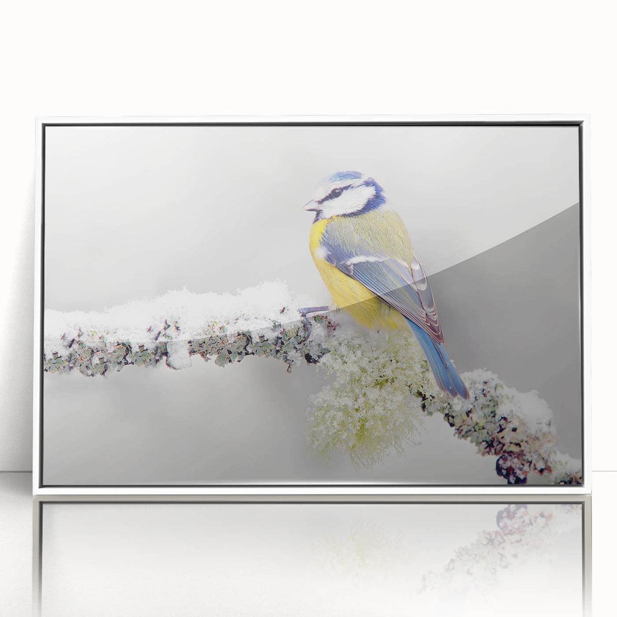 Framed acrylic wall art showcasing a vibrant garden scene filled with various colorful birds perched among lush greenery, ideal for enhancing home decor.