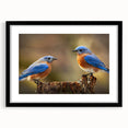 Framed wall art featuring a collection of colorful garden birds, showcasing intricate details and vibrant colors. The black frame enhances the artwork, making it a perfect decorative piece for nature lovers.