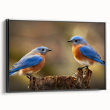 Framed canvas wall art featuring a vibrant garden birds design, showcasing colorful birds perched among lush greenery, with a sleek black frame for modern decor. Ideal for nature lovers and home decoration.