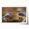 Vibrant rolled print showcasing a collection of garden birds in colorful, detailed illustrations, perfect for enhancing home decor with nature-inspired art.