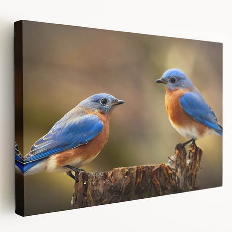 Stretched canvas wall art showcasing a vibrant garden birds design, featuring colorful bird illustrations and lush greenery, perfect for adding nature-inspired decor to any room.