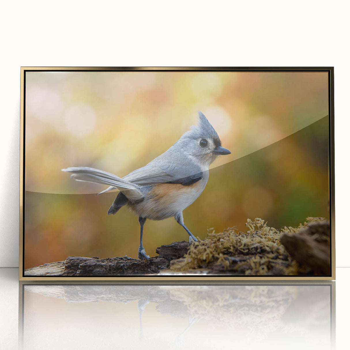Framed wall art featuring a vibrant garden birds design with intricate details and a gold-acrylic finish, perfect for enhancing home decor.