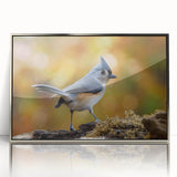 Framed wall art design showcasing colorful garden birds in a stylish silver frame, perfect for adding a vibrant touch to home decor. Ideal for bird lovers and nature enthusiasts.