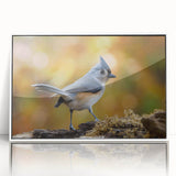 Framed wall art featuring a vibrant garden birds design in acrylic, showcasing colorful songbirds perched among lush greenery. The artwork is elegantly presented in a white frame, enhancing its aesthetic appeal for home decor.