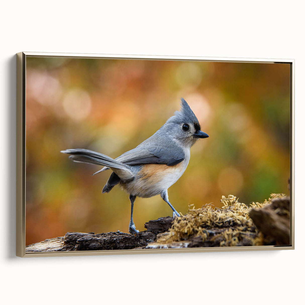 Framed canvas wall art featuring a vibrant garden bird design with gold accents, ideal for enhancing home decor. Side view showcases the elegant frame and intricate details of the artwork, perfect for bird lovers and nature enthusiasts.