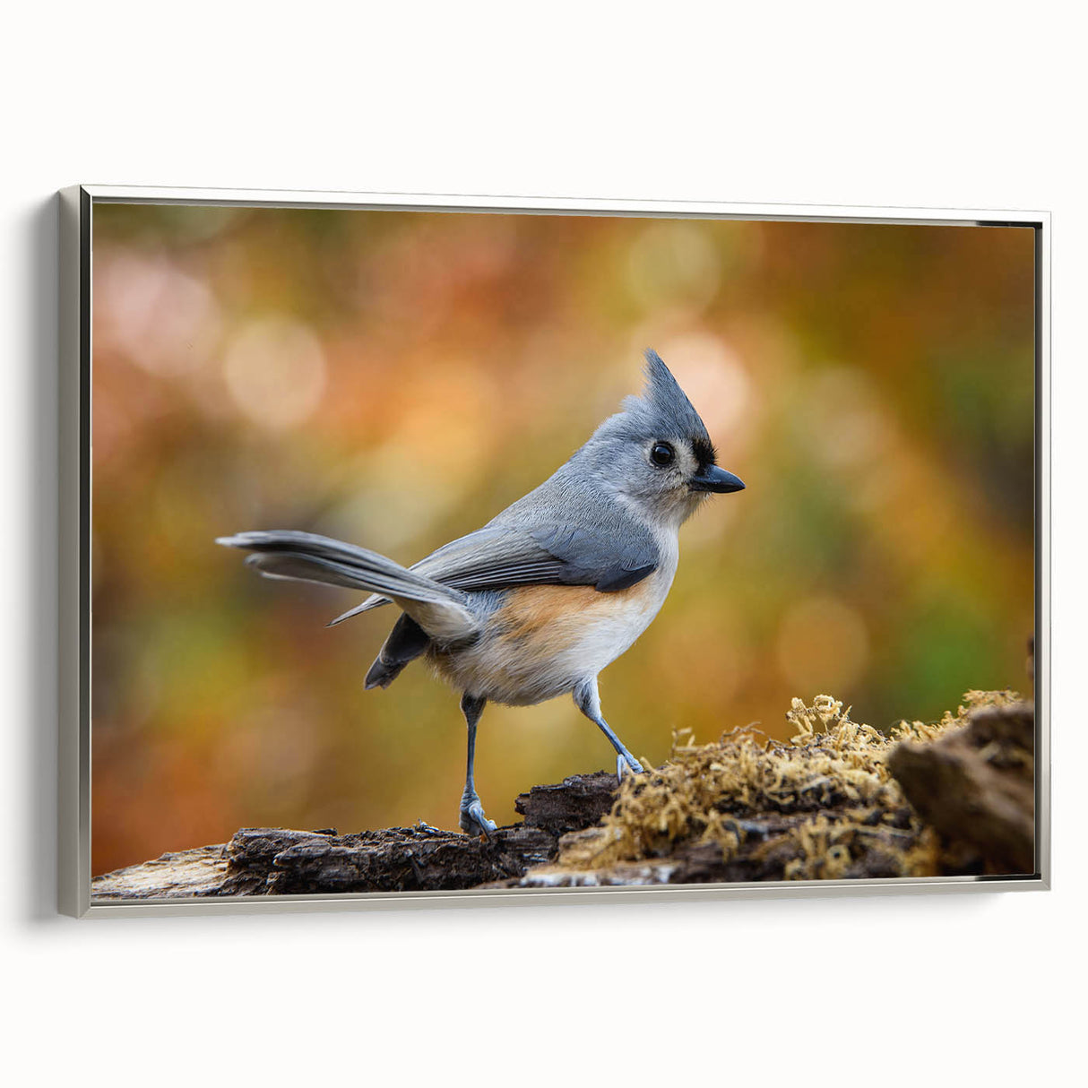 Framed wall art showcasing a vibrant garden birds design, featuring detailed illustrations of various bird species in a colorful, nature-inspired setting. The artwork is bordered with a sleek silver frame, enhancing its elegance and suitability for home decor.