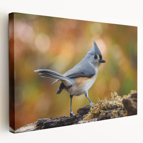 Colorful stretched canvas artwork showcasing a vibrant garden scene with various birds perched among lush foliage, ideal for nature enthusiasts and home decor.