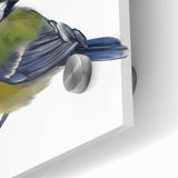 Close-up of a vibrant acrylic glass wall art piece showcasing an intricate design of colorful garden birds, perfect for adding a nature-inspired touch to home decor.