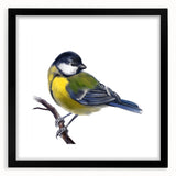 Elegant wall art collection featuring a framed design of vibrant garden birds, set against a black mat, perfect for enhancing home decor. This stylish piece combines nature's beauty with artistic flair, ideal for bird lovers and art enthusiasts alike.