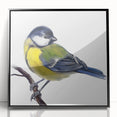 Framed acrylic wall art featuring a vibrant garden birds design, showcasing colorful avian illustrations on a black background, perfect for home decor.