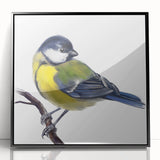 Framed acrylic wall art featuring a vibrant garden birds design, showcasing colorful avian illustrations on a black background, perfect for home decor.
