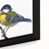 Close-up of a beautifully framed canvas featuring a vibrant collection of garden birds, showcasing intricate details and bright colors, perfect for home decor.