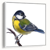 Framed wall art collection showcasing colorful garden birds on a white background, elegantly designed for home decor, ideal for bird lovers and nature enthusiasts.