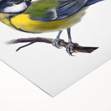 Colorful rolled canvas featuring a vibrant garden bird design, showcasing various species perched among lush greenery. Ideal for enhancing home decor with nature-inspired art.