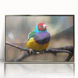 Framed wall art depicting a vibrant collection of garden birds in various colors, showcased in a sleek silver frame, perfect for enhancing home decor.