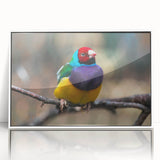 Framed wall art featuring a vibrant garden birds design, showcasing colorful birds perched among lush greenery, set in a sleek white frame with acrylic front.
