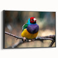 Framed wall art featuring a vibrant design of various garden birds, displayed in a sleek black frame. Ideal for adding a touch of nature to home decor.
