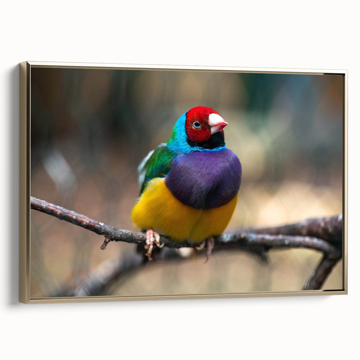 Framed wall art featuring a vibrant garden scene with various colorful birds perched on branches, showcasing intricate details and a gold frame, perfect for adding elegance to any room decor.