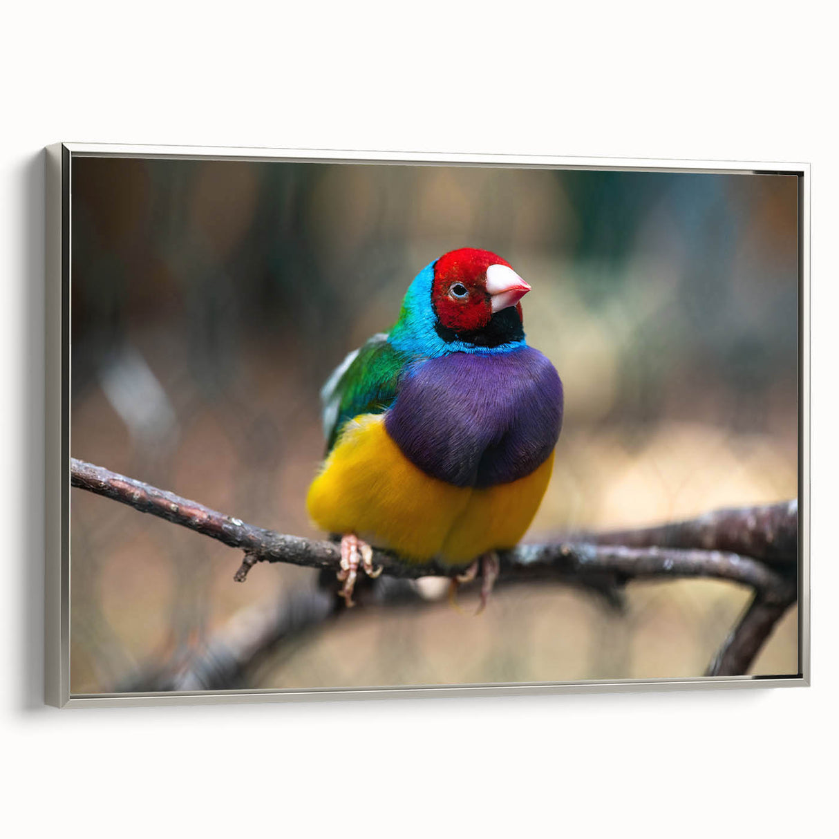 Framed canvas wall art showcasing a vibrant design of various garden birds, featuring a silver frame and a side view that highlights its elegant presentation and detailed artwork. Perfect for nature enthusiasts and home decor.