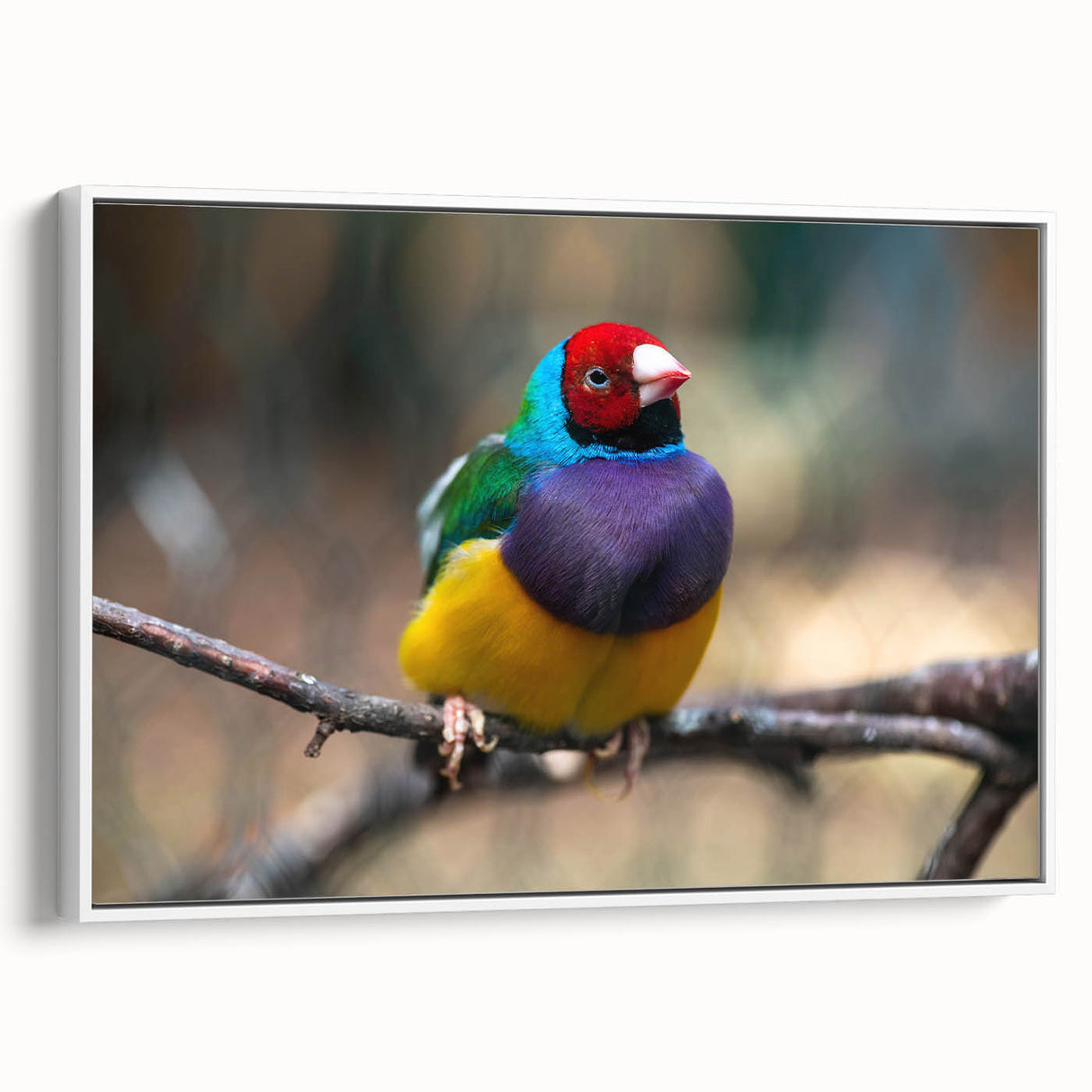 Framed wall art showcasing a vibrant garden scene with colorful birds perched among lush green foliage, presented in a sleek white frame, ideal for enhancing home decor.