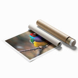 Vibrant rolled print showcasing a collection of garden birds in a colorful design, perfect for home decor or nature-themed art enthusiasts. This wall art adds a whimsical touch to any space.