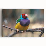 Colorful wall art featuring a vibrant garden bird design on stretched canvas, showcasing intricate details and lively colors, ideal for home decor enhancement.