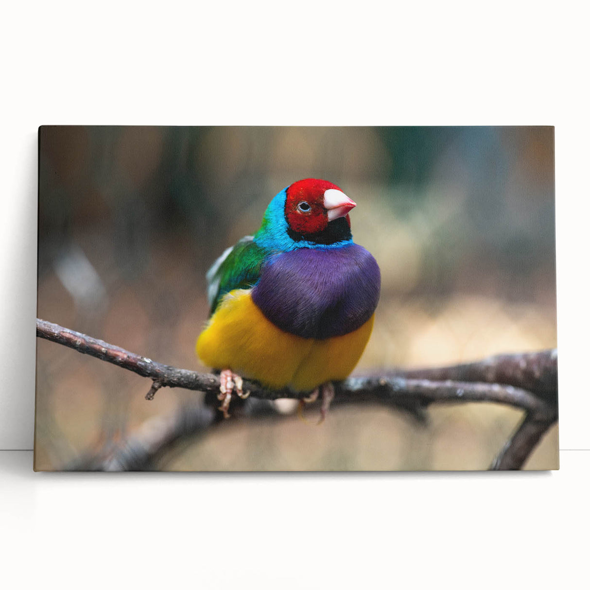 Stretched canvas wall art featuring a vibrant garden scene with colorful birds perched among lush greenery, perfect for enhancing home decor with nature-inspired elegance.