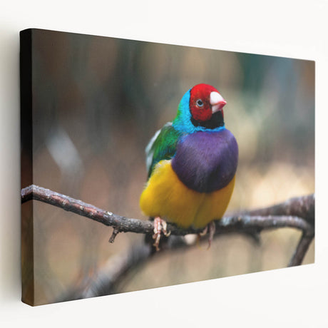 Stretched canvas wall art showcasing a vibrant garden birds design, featuring various colorful birds perched among lush green foliage, perfect for home decor.