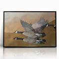 Framed acrylic wall art featuring a striking goose design, set against a sleek black background, perfect for modern home decor enthusiasts seeking unique nature-inspired pieces.