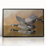 Framed acrylic wall art featuring a striking goose design, set against a sleek black background, perfect for modern home decor enthusiasts seeking unique nature-inspired pieces.