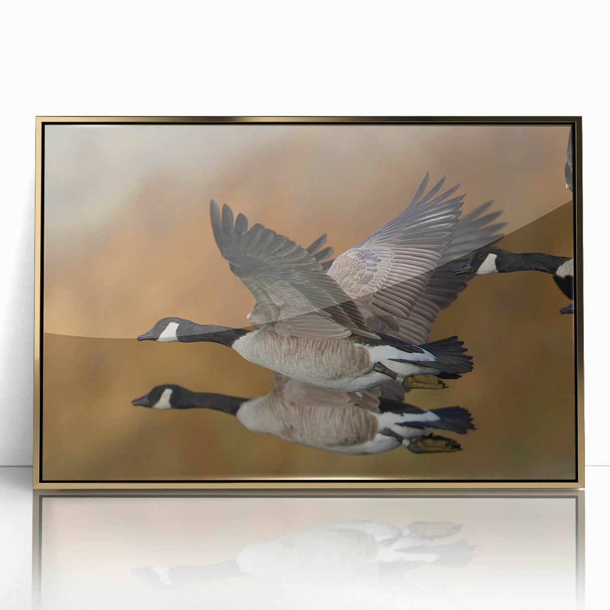 Framed wall art showcasing a stylish goose design in gold and black, perfect for modern home decor. The acrylic front enhances visual appeal and elegance.