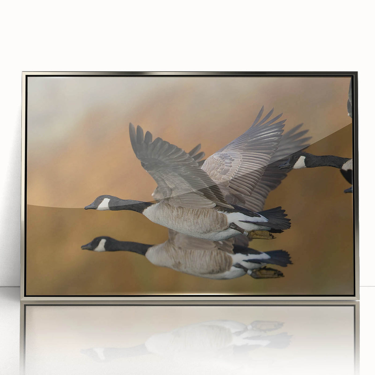 Framed acrylic wall art showcasing a stylish goose design, featuring a sleek silver frame and vibrant colors, perfect for modern home decor. Ideal for bird lovers and art enthusiasts.