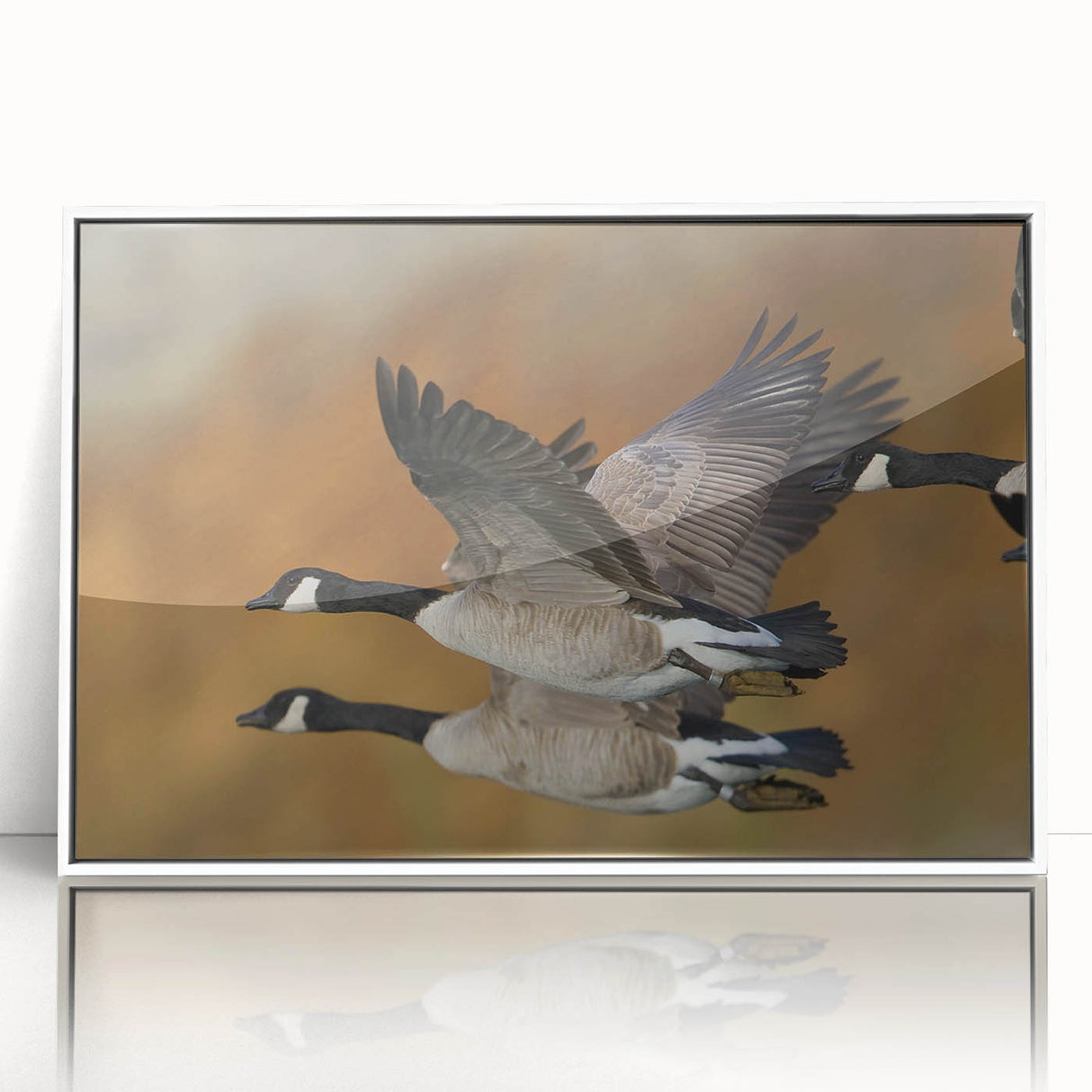 Framed wall art featuring a vibrant goose design in a contemporary style, set against a white background, perfect for modern home decor. Ideal for bird lovers and art enthusiasts.