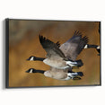 Framed wall art displaying a minimalist black and white goose design, set against a clean background, showcasing elegant home decor for nature enthusiasts.
