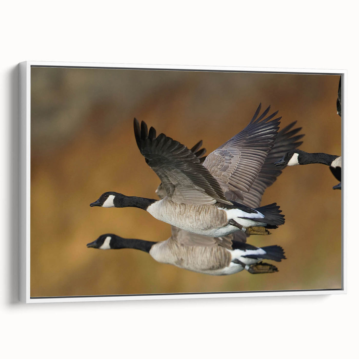 Framed canvas wall art featuring a minimalist goose design in white, showcasing elegant lines and soft colors, perfect for modern home decor and artistic themes.