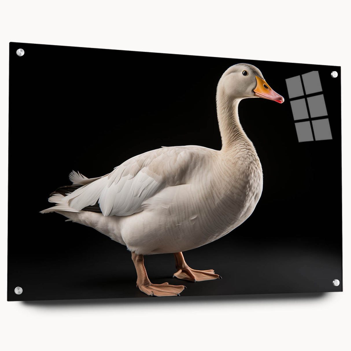 Acrylic wall art showcasing an elegant goose design in vibrant colors, displayed in a modern frame with pins, perfect for contemporary home decor.