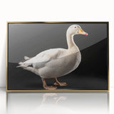 Framed wall art featuring a stylish goose design with a gold-accented acrylic front, perfect for modern home decor, showcasing intricate details and vibrant colors.