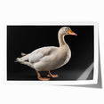 Geese wall art print showcasing a vibrant design of flying birds in a serene sky, ideal for home decor and nature enthusiasts, rolled for easy framing.