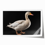 Geese wall art print showcasing a vibrant design of flying birds in a serene sky, ideal for home decor and nature enthusiasts, rolled for easy framing.