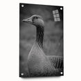Acrylic glass wall art piece featuring a modern goose design, elegantly displayed from the side with visible pins, showcasing vibrant colors and intricate details. Perfect for contemporary home decor or nature-inspired aesthetics.