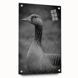 Acrylic glass wall art piece featuring a modern goose design, elegantly displayed from the side with visible pins, showcasing vibrant colors and intricate details. Perfect for contemporary home decor or nature-inspired aesthetics.