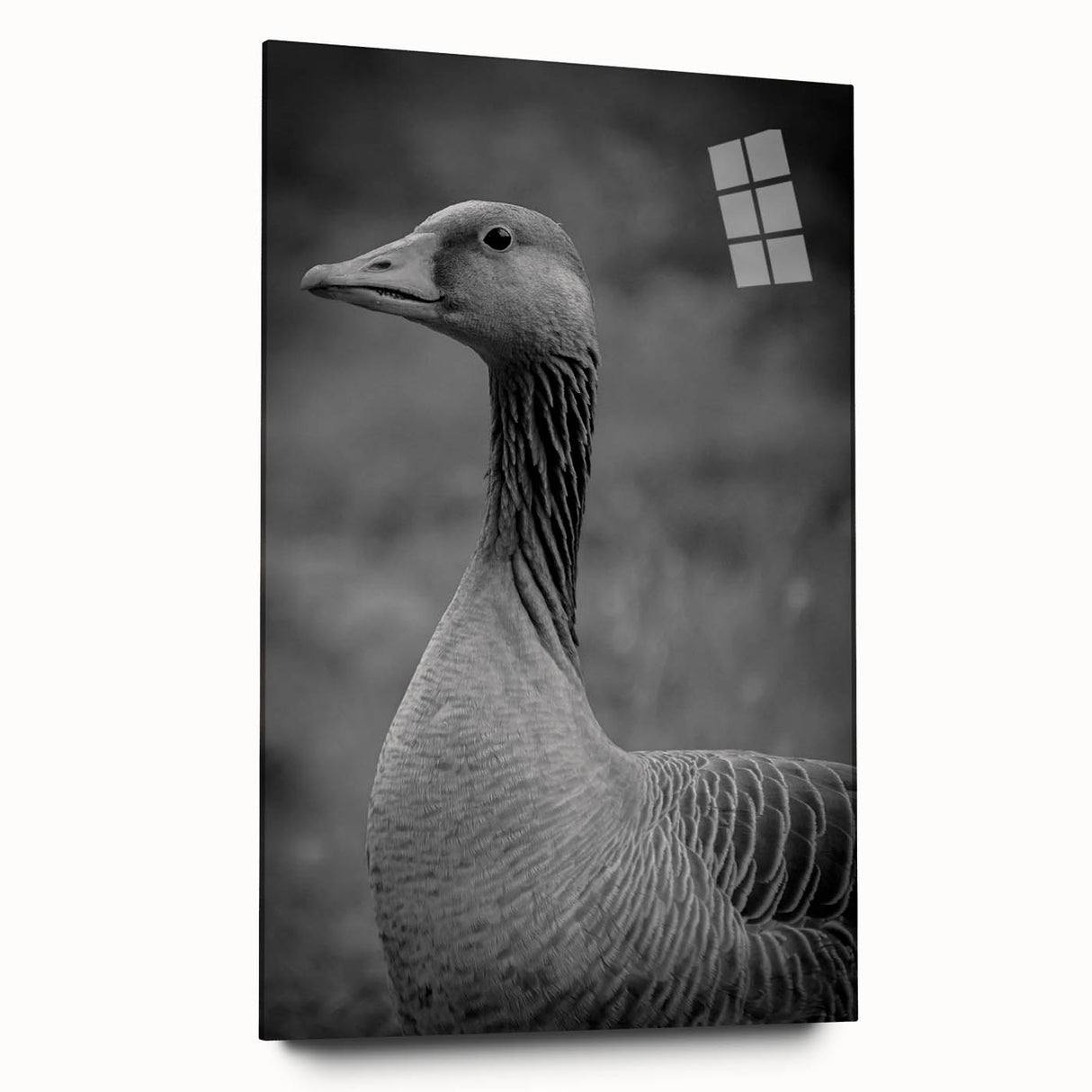 Acrylic glass wall art featuring a detailed goose design in vibrant colors, showcasing a side view without pins, ideal for modern home decor. Perfectly combines artistry and elegance for bird enthusiasts.