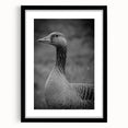 Framed wall art featuring a striking goose design in black, set against a minimalist backdrop, perfect for modern home decor and adding elegance to any space.
