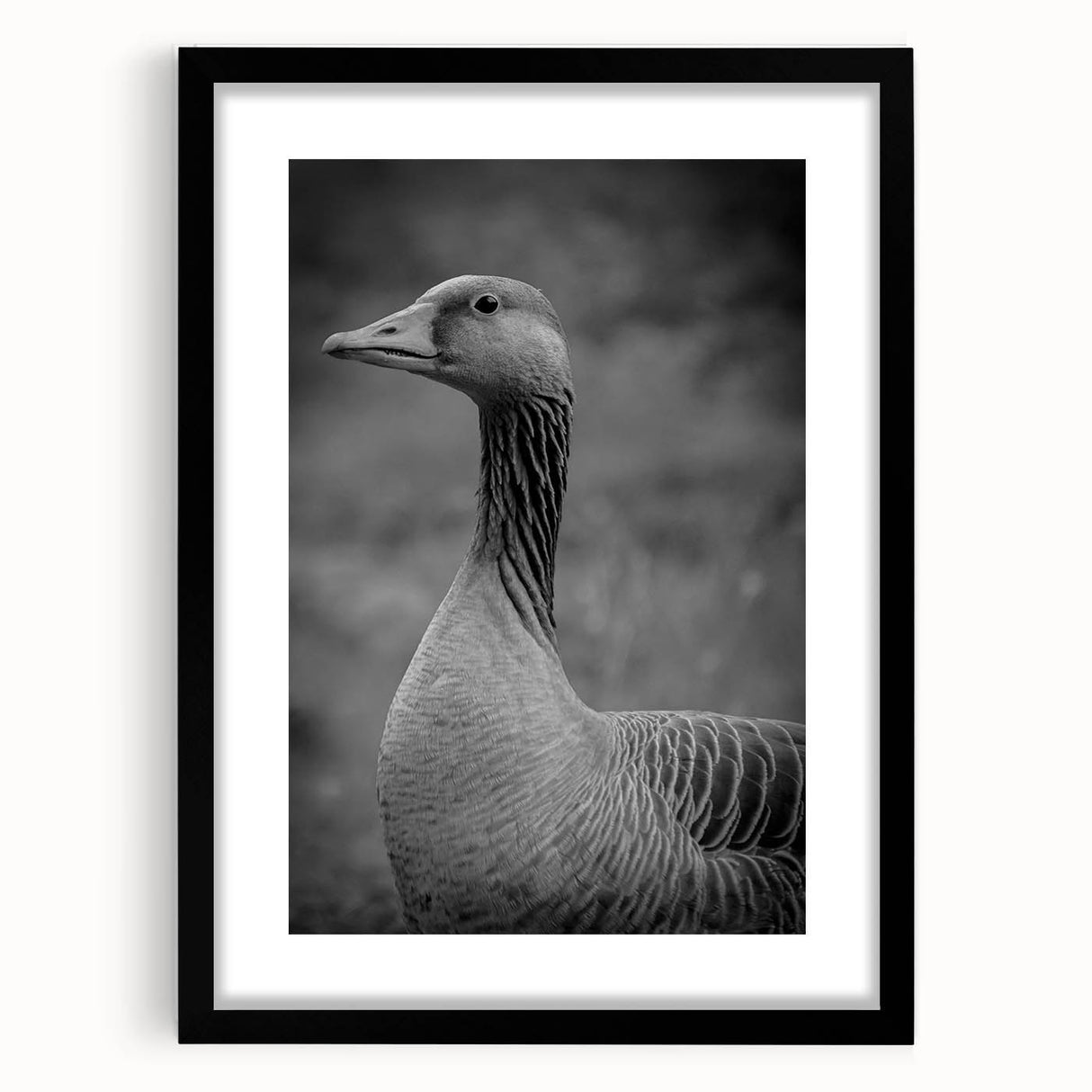 Framed wall art featuring a striking goose design in black, set against a minimalist backdrop, perfect for modern home decor and adding elegance to any space.