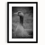 Framed wall art featuring a striking goose design in black, set against a minimalist backdrop, perfect for modern home decor and adding elegance to any space.