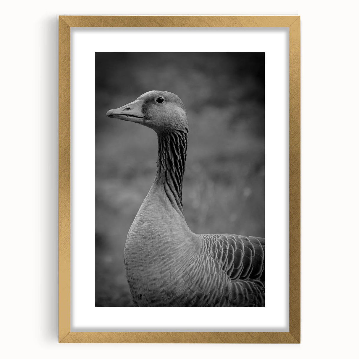 Framed wall art collection featuring a vibrant goose design, elegantly presented with a gold frame and mat, ideal for enhancing home decor aesthetics.