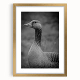 Framed wall art collection featuring a vibrant goose design, elegantly presented with a gold frame and mat, ideal for enhancing home decor aesthetics.