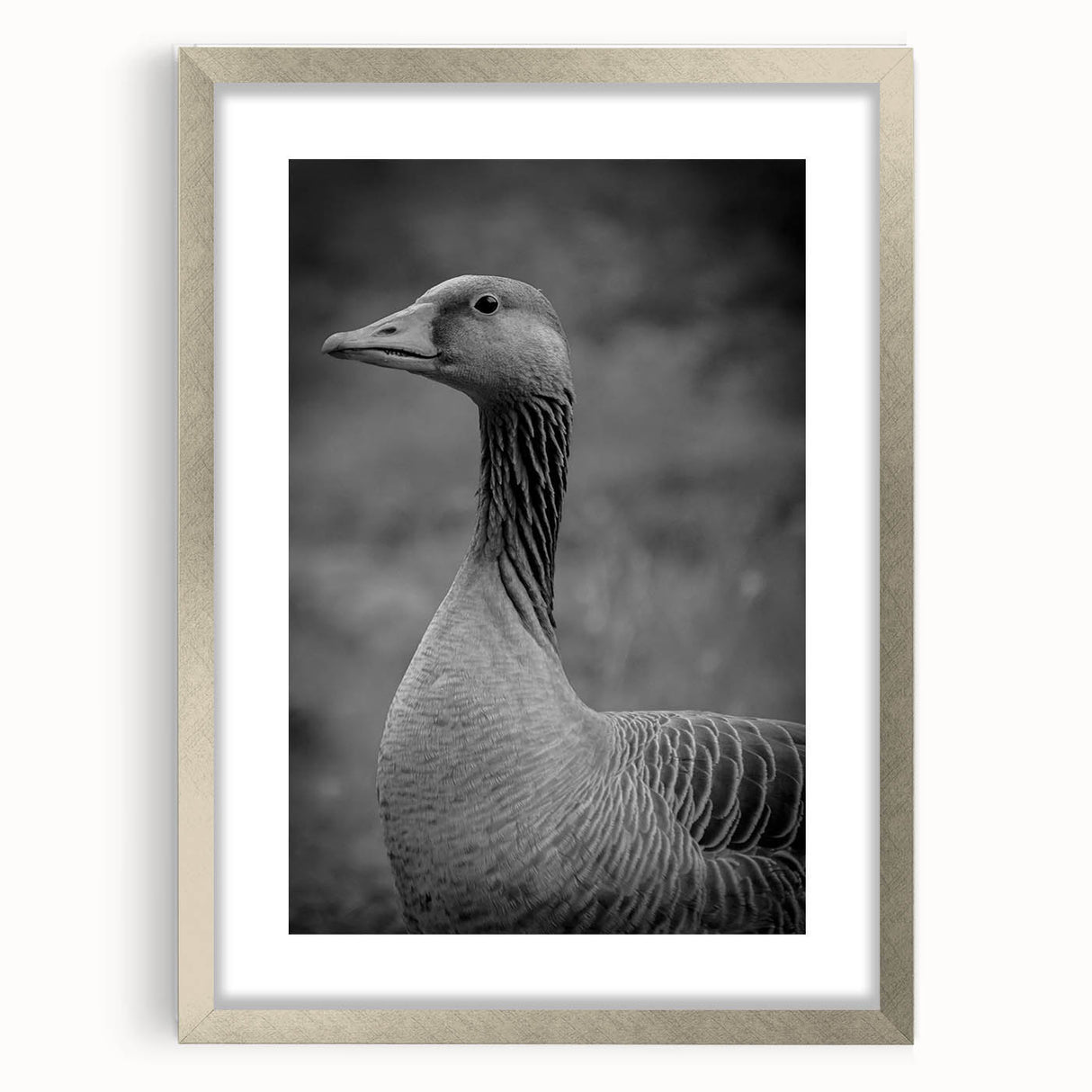 Framed wall art showcasing a minimalist goose design in silver frame with matting, perfect for modern home decor. Ideal for bird lovers and contemporary art enthusiasts.